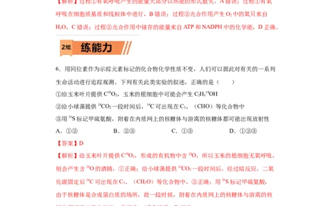 课时10光合作用和细胞呼吸的比较-2023年高考生物一轮复习小题多维练（解析版）_通用版（老高考）复习资料_2023年复习资料_一轮复习_2023年高考生物一轮复习小题多维练（全国通用）