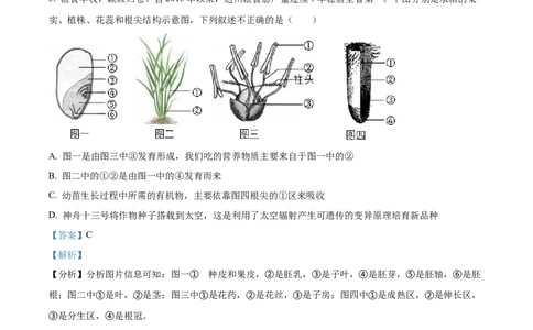 精品解析：2022年四川省达州市中考生物真题（解析版）_6生物中考复习_2025中考复习资料_中考真题（近三年）_2022年生物中考真题114份_精品解析：2022年四川省达州市中考生物真题