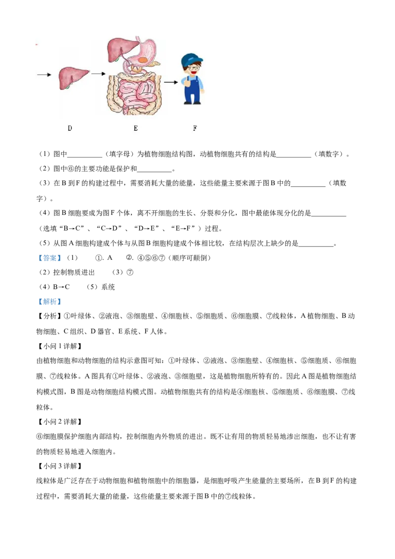 精品解析：2022年四川省南充市中考生物真题（解析版）_6生物中考复习_2025中考复习资料_中考真题（近三年）_2022年生物中考真题114份_精品解析：2022年四川省南充市中考生物真题