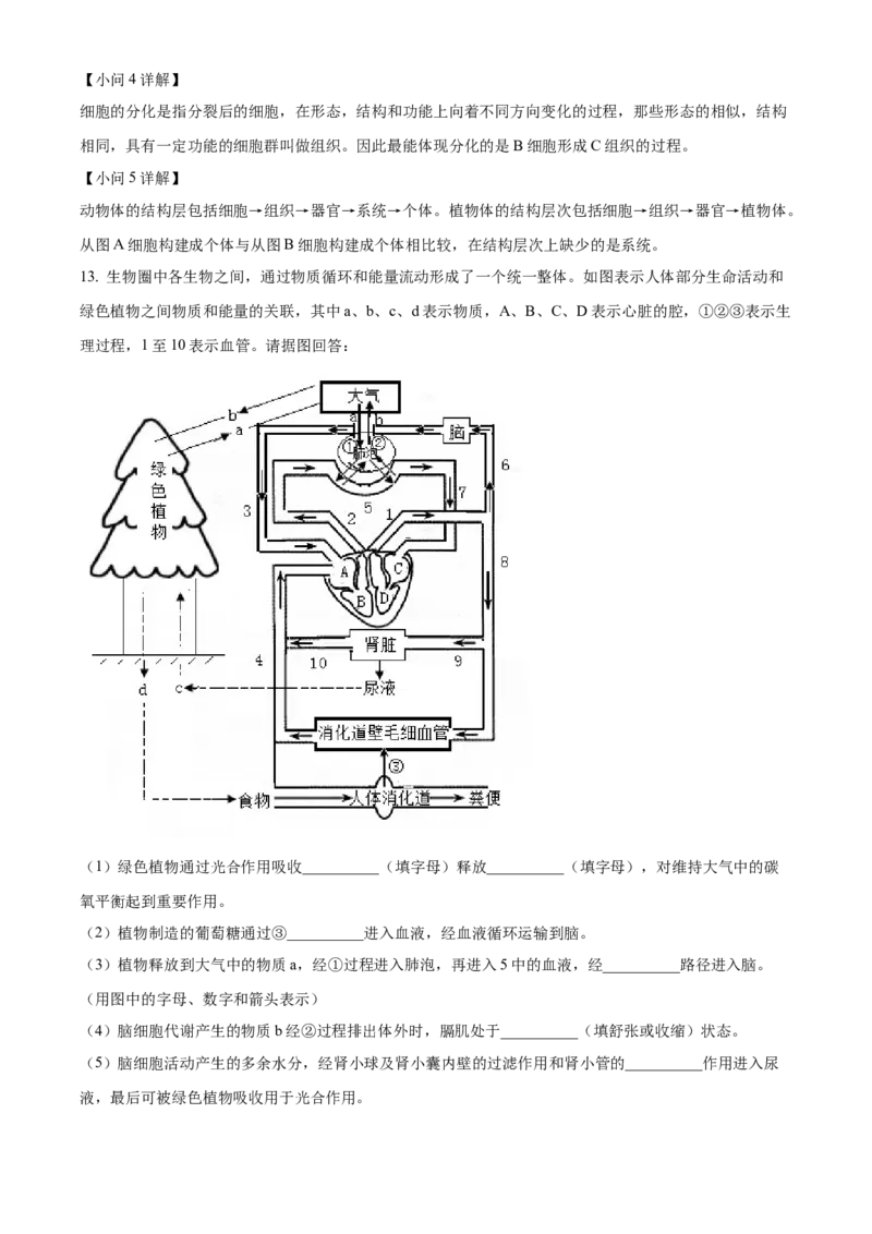 精品解析：2022年四川省南充市中考生物真题（解析版）_6生物中考复习_2025中考复习资料_中考真题（近三年）_2022年生物中考真题114份_精品解析：2022年四川省南充市中考生物真题