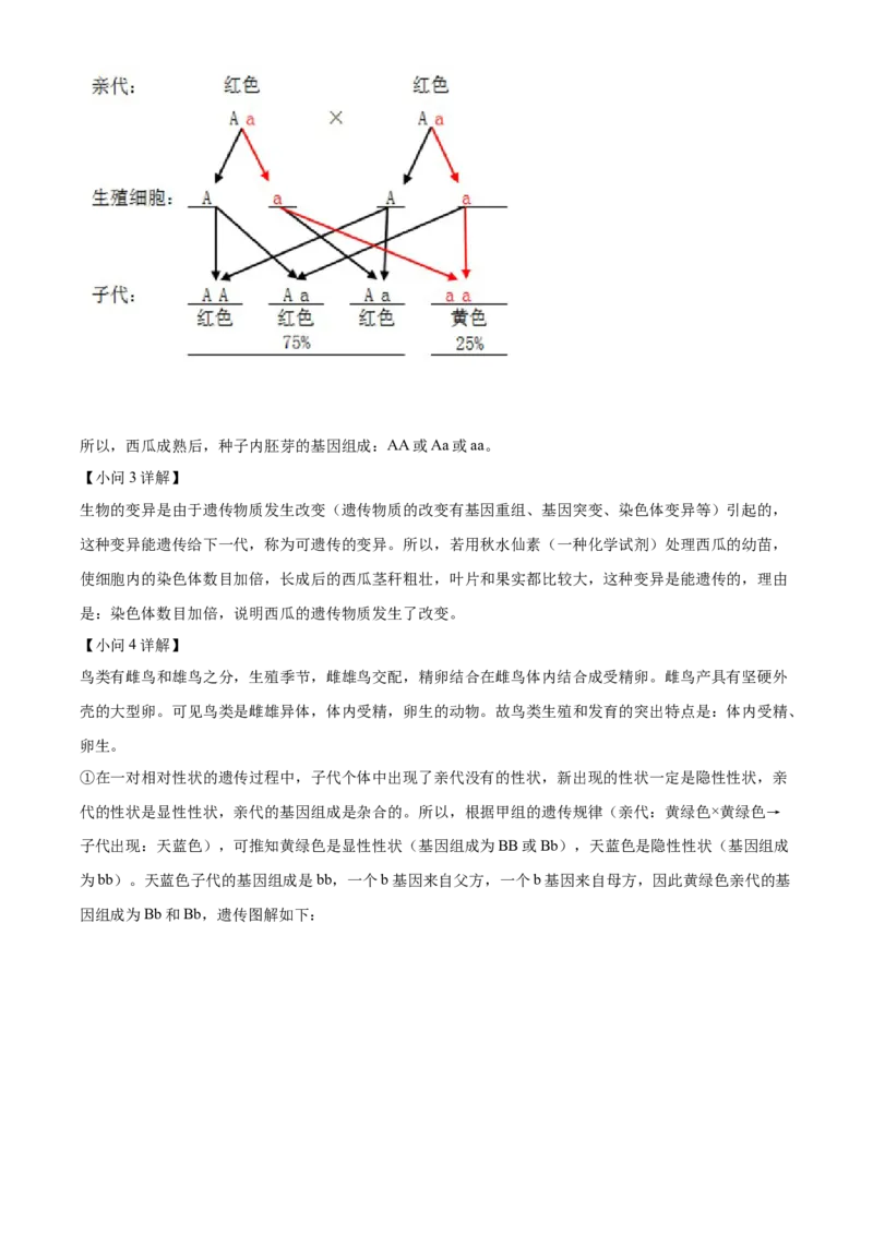 精品解析：2022年山东省潍坊市中考生物真题（解析版）_6生物中考复习_2025中考复习资料_中考真题（近三年）_2022年生物中考真题114份_精品解析：2022年山东省潍坊市中考生物真题