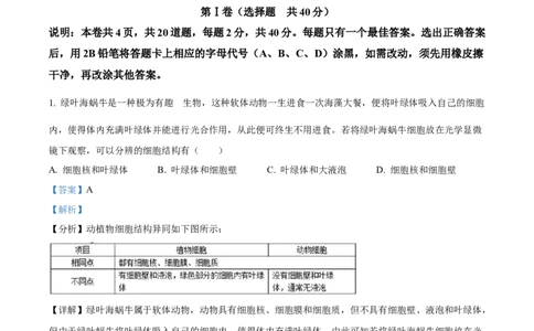 精品解析：2022年山东省潍坊市中考生物真题（解析版）_6生物中考复习_2025中考复习资料_中考真题（近三年）_2022年生物中考真题114份_精品解析：2022年山东省潍坊市中考生物真题
