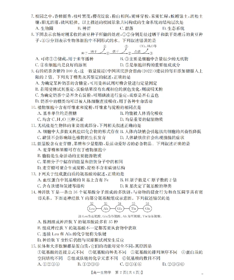 贵州省织金一中2025-2026学年高一11月月考（25-114A）生物_2025年11月高一试卷_251118金太阳&middot;贵州省织金一中2025-2026学年高一11月月考（25-114A）（全）
