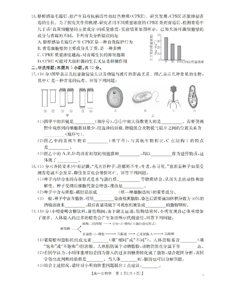 贵州省织金一中2025-2026学年高一11月月考（25-114A）生物_2025年11月高一试卷_251118金太阳&middot;贵州省织金一中2025-2026学年高一11月月考（25-114A）（全）