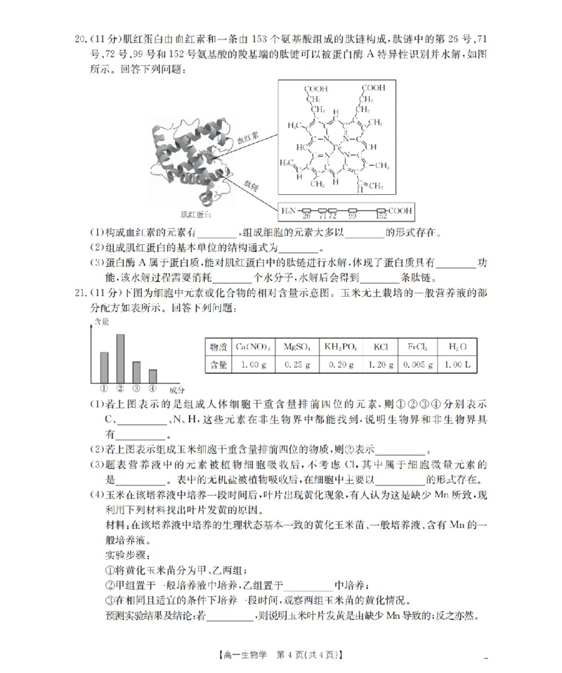 贵州省织金一中2025-2026学年高一11月月考（25-114A）生物_2025年11月高一试卷_251118金太阳&middot;贵州省织金一中2025-2026学年高一11月月考（25-114A）（全）