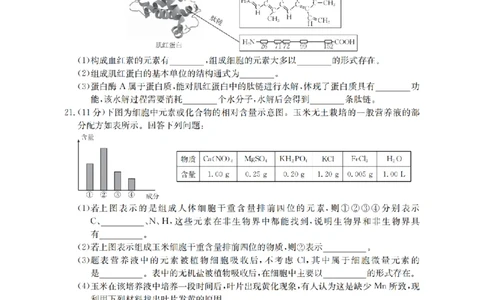贵州省织金一中2025-2026学年高一11月月考（25-114A）生物_2025年11月高一试卷_251118金太阳&middot;贵州省织金一中2025-2026学年高一11月月考（25-114A）（全）