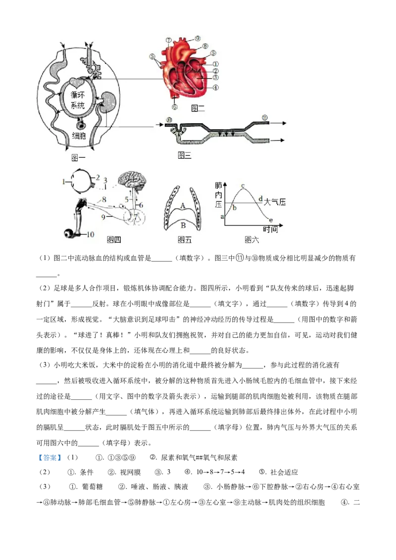 精品解析：2022年内蒙古通辽市中考生物真题（解析版）_6生物中考复习_2025中考复习资料_中考真题（近三年）_2022年生物中考真题114份_精品解析：2022年内蒙古通辽市中考生物真题