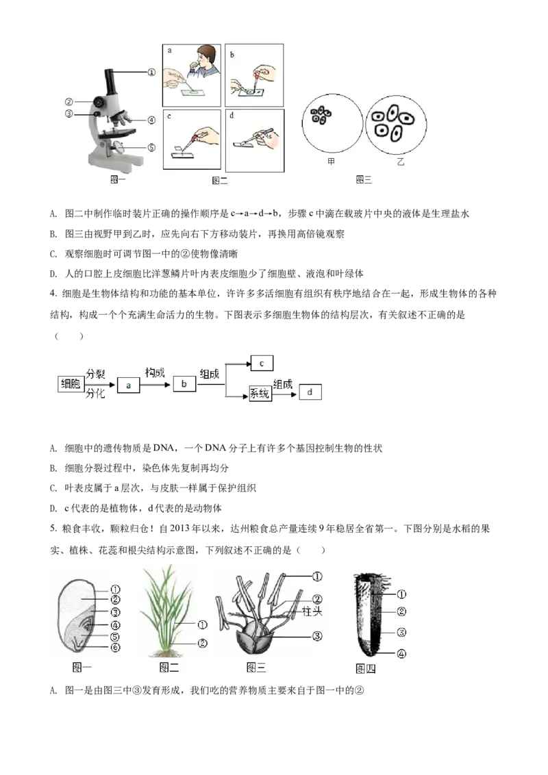 精品解析：2022年四川省达州市中考生物真题（原卷版）_6生物中考复习_2025中考复习资料_中考真题（近三年）_2022年生物中考真题114份_精品解析：2022年四川省达州市中考生物真题