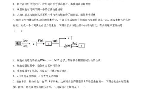 精品解析：2022年四川省达州市中考生物真题（原卷版）_6生物中考复习_2025中考复习资料_中考真题（近三年）_2022年生物中考真题114份_精品解析：2022年四川省达州市中考生物真题