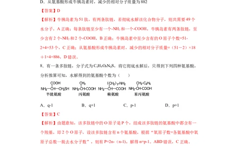 课时03巧解多肽合成中的计算情境试题-2023年高考生物一轮复习小题多维练（解析版）_通用版（老高考）复习资料_2023年复习资料_一轮复习_2023年高考生物一轮复习小题多维练（全国通用）