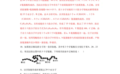 课时03巧解多肽合成中的计算情境试题-2023年高考生物一轮复习小题多维练（解析版）_通用版（老高考）复习资料_2023年复习资料_一轮复习_2023年高考生物一轮复习小题多维练（全国通用）