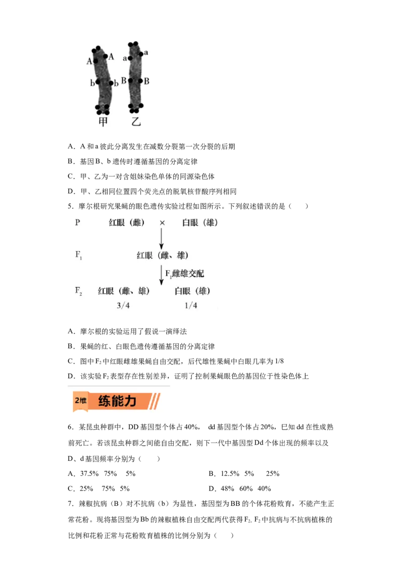 课时18分离定律的实质及异常分离比的类型-2023年高考生物一轮复习小题多维练（原卷版）_通用版（老高考）复习资料_2023年复习资料_一轮复习