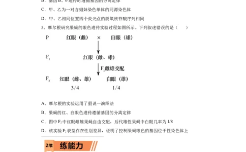 课时18分离定律的实质及异常分离比的类型-2023年高考生物一轮复习小题多维练（原卷版）_通用版（老高考）复习资料_2023年复习资料_一轮复习