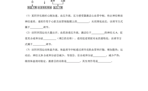 课时29血糖调节、体温调节、水盐平衡调节模型分析-2023年高考生物一轮复习小题多维练（原卷版）_通用版（老高考）复习资料_2023年复习资料_一轮复习