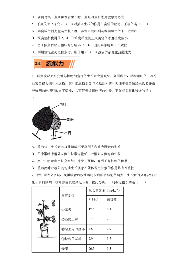 课时32生长素的发现及生理作用-2023年高考生物一轮复习小题多维练（原卷版）_通用版（老高考）复习资料_2023年复习资料_一轮复习_2023年高考生物一轮复习小题多维练（全国通用）
