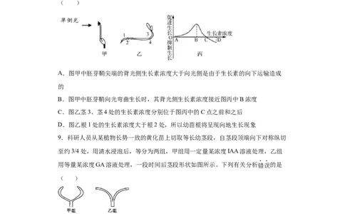 课时32生长素的发现及生理作用-2023年高考生物一轮复习小题多维练（原卷版）_通用版（老高考）复习资料_2023年复习资料_一轮复习_2023年高考生物一轮复习小题多维练（全国通用）