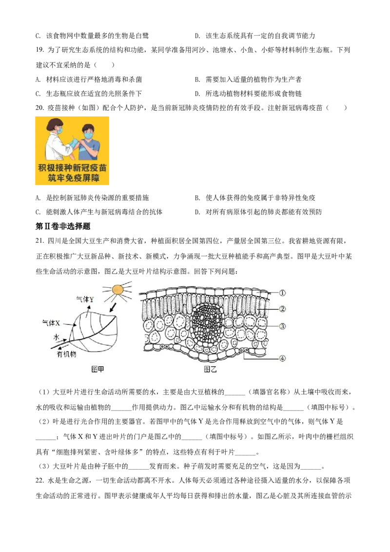 精品解析：2022年四川省成都市中考生物真题（原卷版）_6生物中考复习_2025中考复习资料_中考真题（近三年）_2022年生物中考真题114份_精品解析：2022年四川省成都市中考生物真题