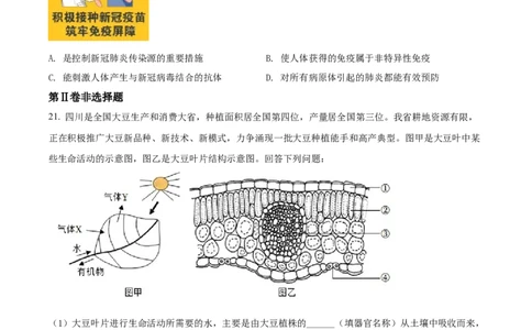 精品解析：2022年四川省成都市中考生物真题（原卷版）_6生物中考复习_2025中考复习资料_中考真题（近三年）_2022年生物中考真题114份_精品解析：2022年四川省成都市中考生物真题