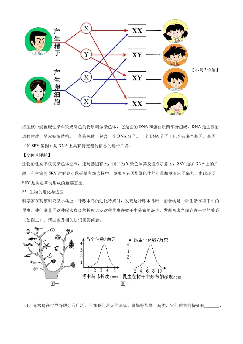 精品解析：2022年山西省太原市学业水平测试生物真题（解析版）_6生物中考复习_2025中考复习资料_中考真题（近三年）_2022年生物中考真题114份