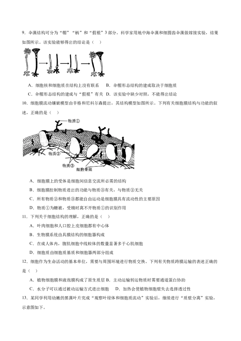 辽宁省大连市滨城高中联盟2025-2026学年高一上学期期中考试生物试卷（含答案）_2025年12月高一试卷_251206辽宁省大连市滨城高中联盟2025-2026学年高一上学期期中考试（全）