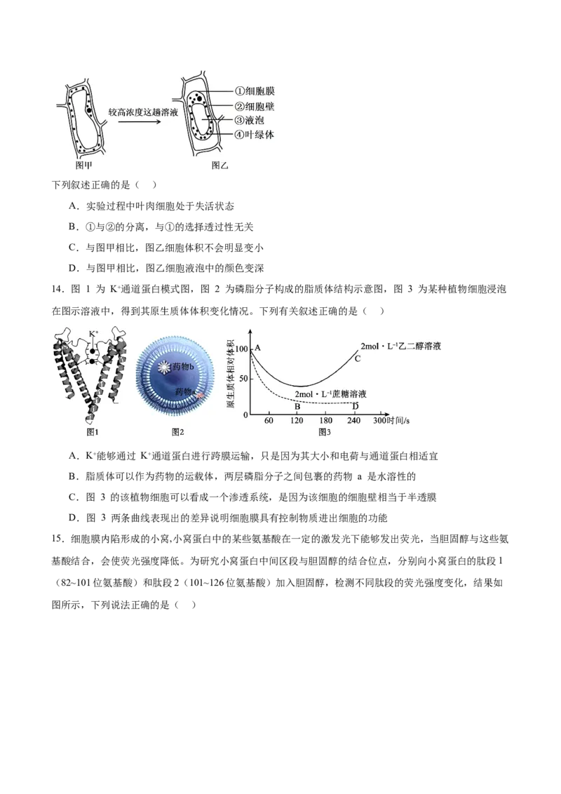 辽宁省大连市滨城高中联盟2025-2026学年高一上学期期中考试生物试卷（含答案）_2025年12月高一试卷_251206辽宁省大连市滨城高中联盟2025-2026学年高一上学期期中考试（全）