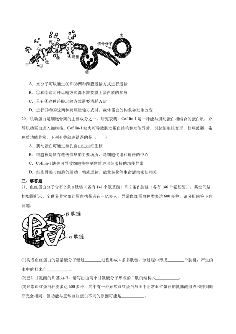 辽宁省大连市滨城高中联盟2025-2026学年高一上学期期中考试生物试卷（含答案）_2025年12月高一试卷_251206辽宁省大连市滨城高中联盟2025-2026学年高一上学期期中考试（全）