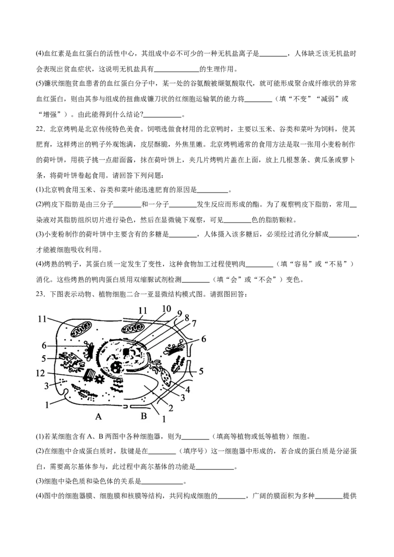 辽宁省大连市滨城高中联盟2025-2026学年高一上学期期中考试生物试卷（含答案）_2025年12月高一试卷_251206辽宁省大连市滨城高中联盟2025-2026学年高一上学期期中考试（全）