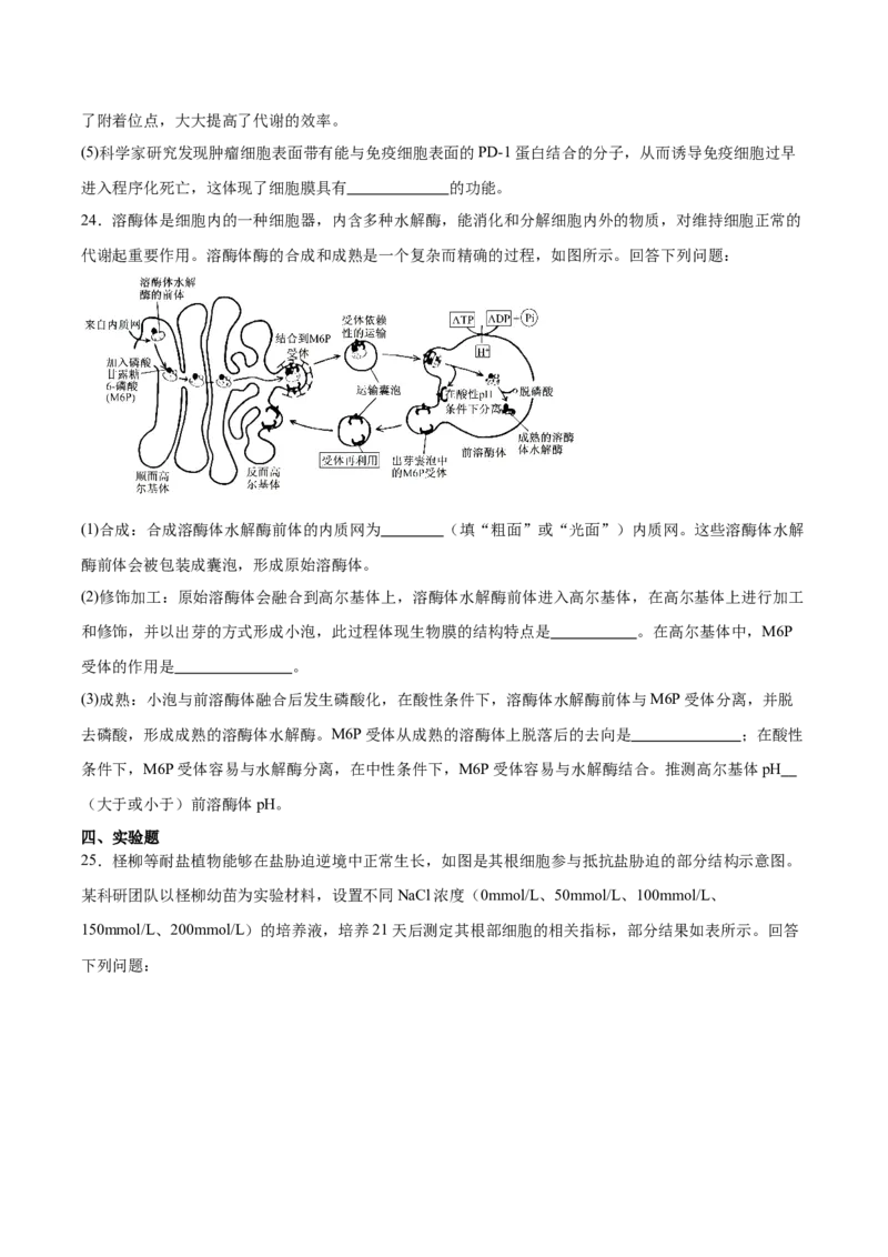 辽宁省大连市滨城高中联盟2025-2026学年高一上学期期中考试生物试卷（含答案）_2025年12月高一试卷_251206辽宁省大连市滨城高中联盟2025-2026学年高一上学期期中考试（全）