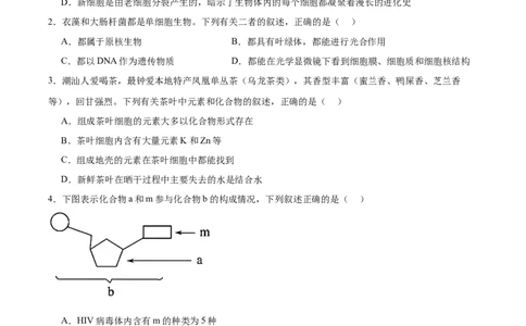 辽宁省大连市滨城高中联盟2025-2026学年高一上学期期中考试生物试卷（含答案）_2025年12月高一试卷_251206辽宁省大连市滨城高中联盟2025-2026学年高一上学期期中考试（全）