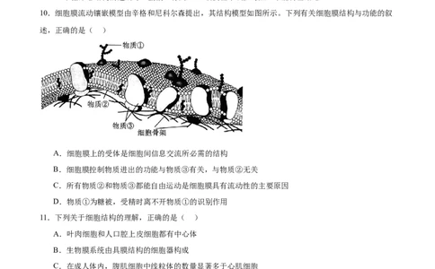 辽宁省大连市滨城高中联盟2025-2026学年高一上学期期中考试生物试卷（含答案）_2025年12月高一试卷_251206辽宁省大连市滨城高中联盟2025-2026学年高一上学期期中考试（全）
