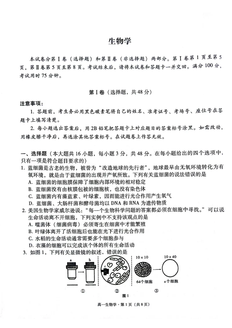 贵阳市2027届高一年级联合考试（二）生物_2024年12月试卷_1212贵州省贵阳市2024-2025学年高一上学期12月联考试题_贵州省贵阳市2024-2025学年高一上学期12月月考生物试题PDF版含答案