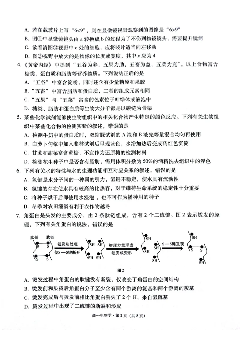 贵阳市2027届高一年级联合考试（二）生物_2024年12月试卷_1212贵州省贵阳市2024-2025学年高一上学期12月联考试题_贵州省贵阳市2024-2025学年高一上学期12月月考生物试题PDF版含答案