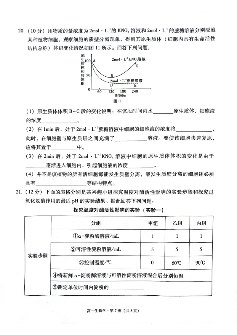 贵阳市2027届高一年级联合考试（二）生物_2024年12月试卷_1212贵州省贵阳市2024-2025学年高一上学期12月联考试题_贵州省贵阳市2024-2025学年高一上学期12月月考生物试题PDF版含答案