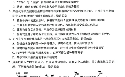 贵阳市2027届高一年级联合考试（二）生物_2024年12月试卷_1212贵州省贵阳市2024-2025学年高一上学期12月联考试题_贵州省贵阳市2024-2025学年高一上学期12月月考生物试题PDF版含答案