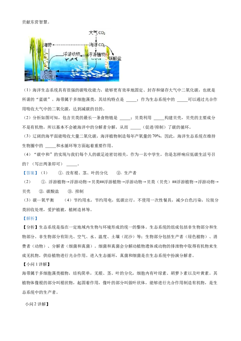 精品解析：2022年山东省东营市中考生物真题（解析版）_6生物中考复习_2025中考复习资料_中考真题（近三年）_2022年生物中考真题114份_精品解析：2022年山东省东营市中考生物真题