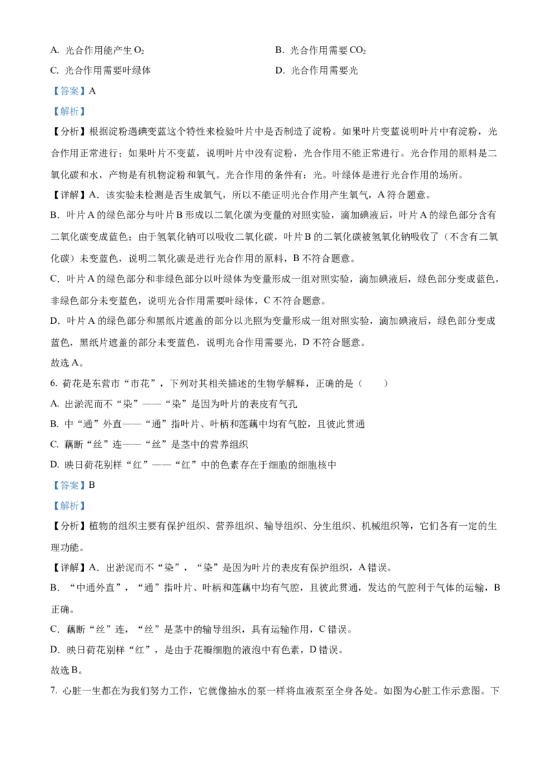 精品解析：2022年山东省东营市中考生物真题（解析版）_6生物中考复习_2025中考复习资料_中考真题（近三年）_2022年生物中考真题114份_精品解析：2022年山东省东营市中考生物真题