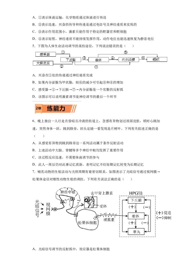 课时30神经调节与体液调节的关系-2023年高考生物一轮复习小题多维练（原卷版）_通用版（老高考）复习资料_2023年复习资料_一轮复习_2023年高考生物一轮复习小题多维练（全国通用）