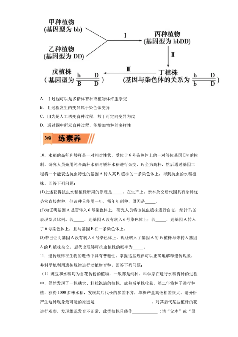 课时24利用变异进行育种-2023年高考生物一轮复习小题多维练（原卷版）_通用版（老高考）复习资料_2023年复习资料_一轮复习_2023年高考生物一轮复习小题多维练（全国通用）