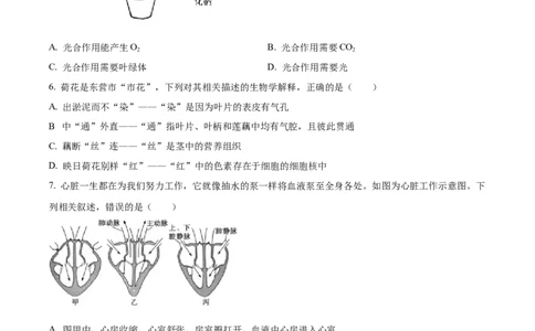 精品解析：2022年山东省东营市中考生物真题（原卷版）_6生物中考复习_2025中考复习资料_中考真题（近三年）_2022年生物中考真题114份_精品解析：2022年山东省东营市中考生物真题