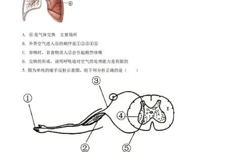 精品解析：2022年四川省南充市中考生物真题（原卷版）_6生物中考复习_2025中考复习资料_中考真题（近三年）_2022年生物中考真题114份_精品解析：2022年四川省南充市中考生物真题