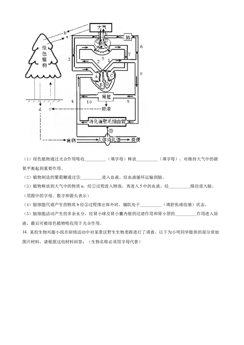 精品解析：2022年四川省南充市中考生物真题（原卷版）_6生物中考复习_2025中考复习资料_中考真题（近三年）_2022年生物中考真题114份_精品解析：2022年四川省南充市中考生物真题