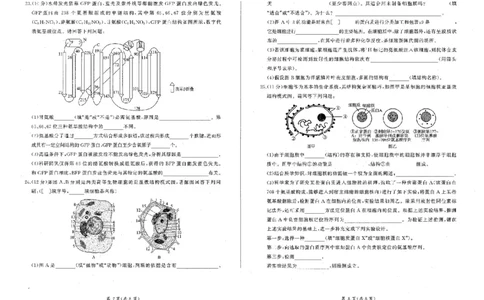 辽宁省点石联考2025-2026学年高一上学期11月期中生物试题含答案_2025年11月高一试卷_251114辽宁省点石联考2025-2026学年高一上学期11月期中考试（全）