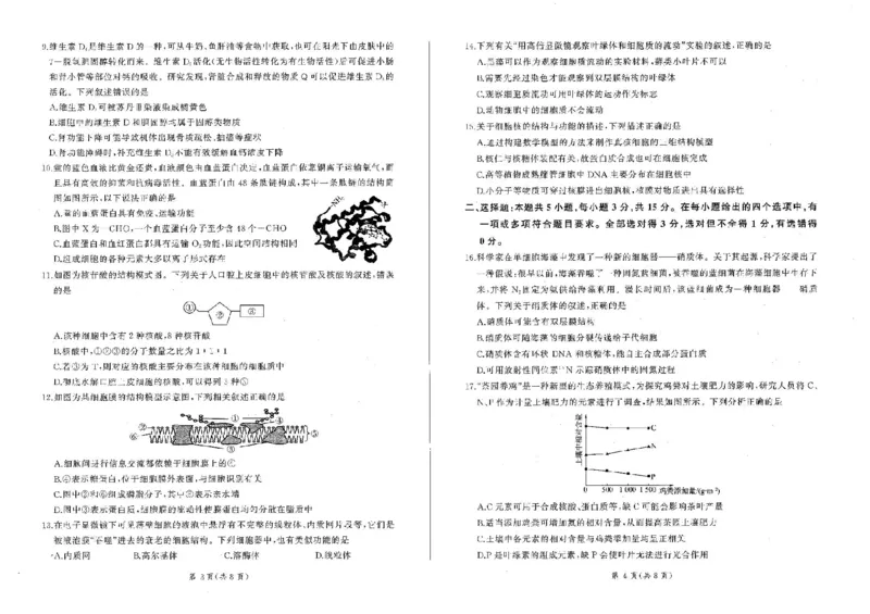 辽宁省点石联考2025-2026学年高一上学期11月期中生物试题含答案_2025年11月高一试卷_251114辽宁省点石联考2025-2026学年高一上学期11月期中考试（全）