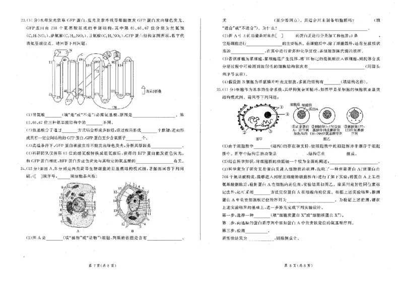 辽宁省点石联考2025-2026学年高一上学期11月期中生物试题含答案_2025年11月高一试卷_251114辽宁省点石联考2025-2026学年高一上学期11月期中考试（全）
