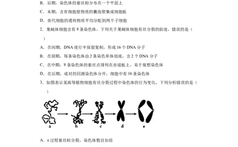 课时11有丝分裂及染色体、核DNA等含量变化分析-2023年高考生物一轮复习小题多维练（原卷版）_通用版（老高考）复习资料_2023年复习资料_一轮复习