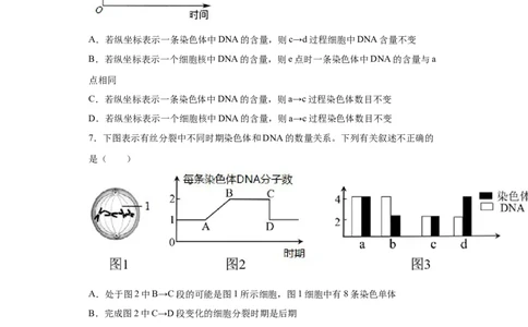 课时11有丝分裂及染色体、核DNA等含量变化分析-2023年高考生物一轮复习小题多维练（原卷版）_通用版（老高考）复习资料_2023年复习资料_一轮复习