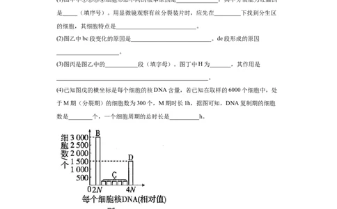 课时11有丝分裂及染色体、核DNA等含量变化分析-2023年高考生物一轮复习小题多维练（原卷版）_通用版（老高考）复习资料_2023年复习资料_一轮复习