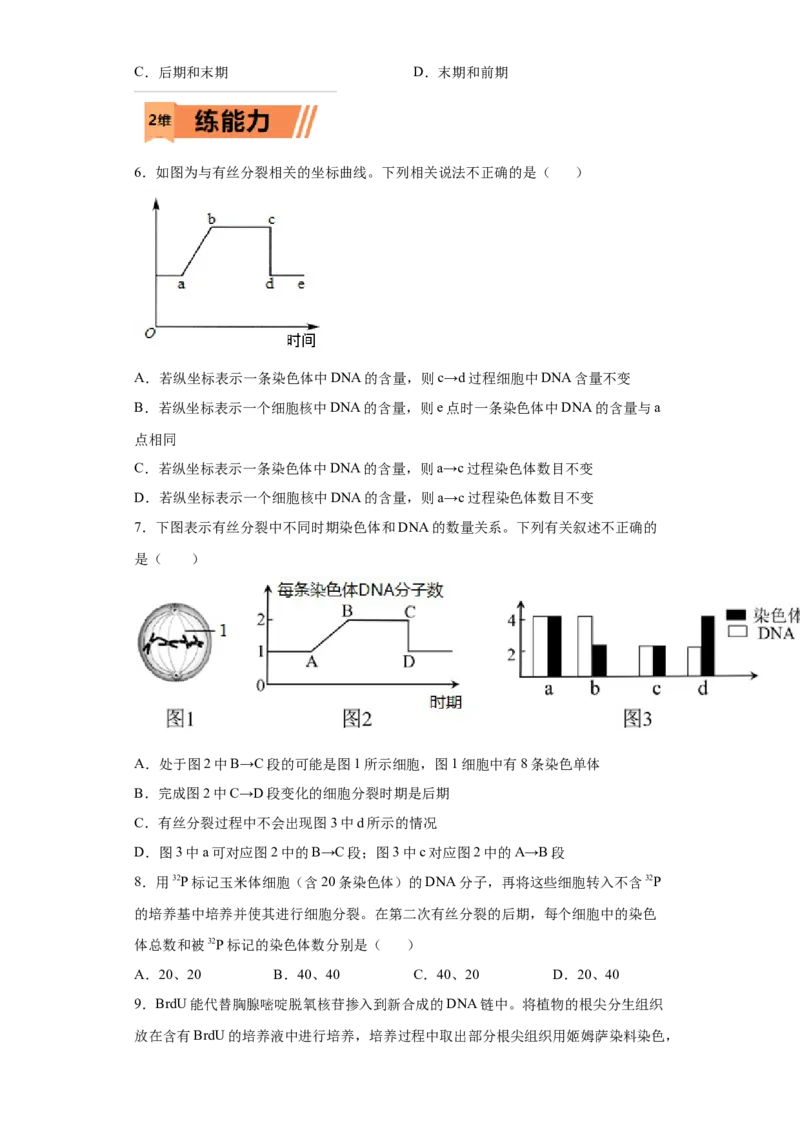 课时11有丝分裂及染色体、核DNA等含量变化分析-2023年高考生物一轮复习小题多维练（原卷版）_通用版（老高考）复习资料_2023年复习资料_一轮复习