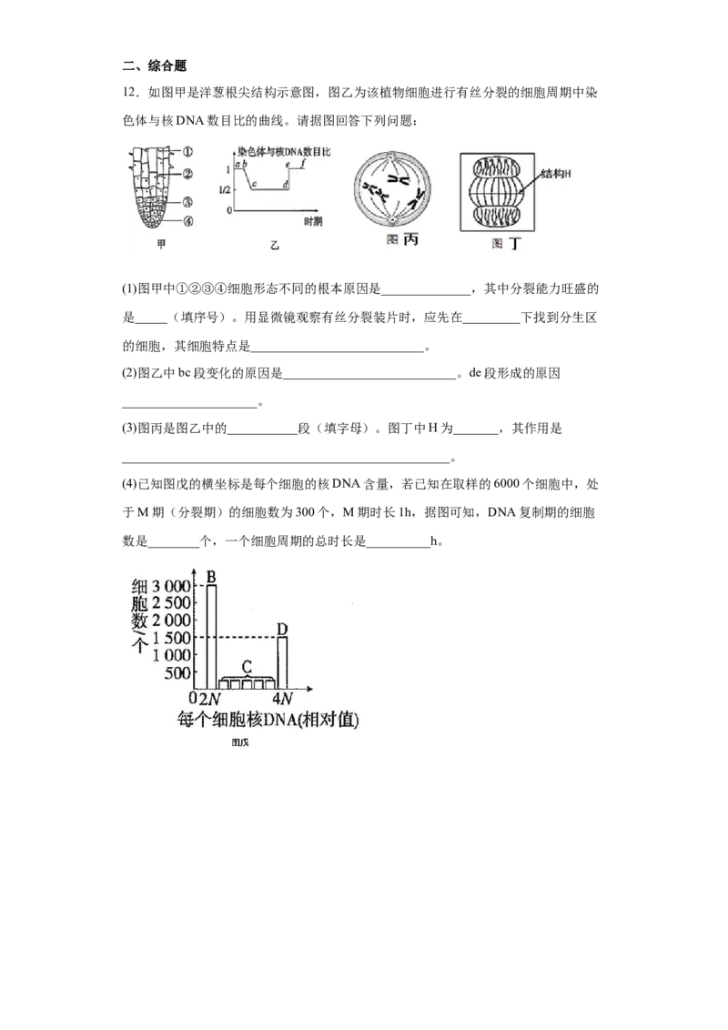 课时11有丝分裂及染色体、核DNA等含量变化分析-2023年高考生物一轮复习小题多维练（原卷版）_通用版（老高考）复习资料_2023年复习资料_一轮复习