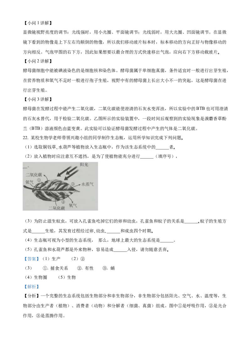 精品解析：2022年吉林省大安市中考生物真题（解析版）_6生物中考复习_2025中考复习资料_中考真题（近三年）_2022年生物中考真题114份_精品解析：2022年吉林省大安市中考生物真题